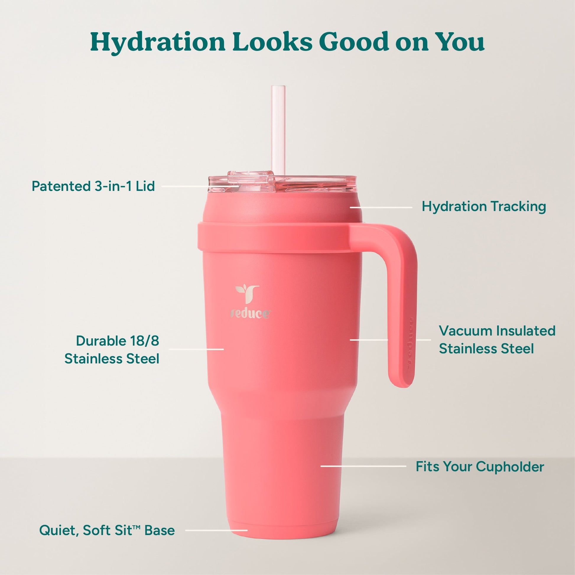 cold1-40-oz-v5 Cold1_40oz_Daiquiri_Infographic_2.jpg