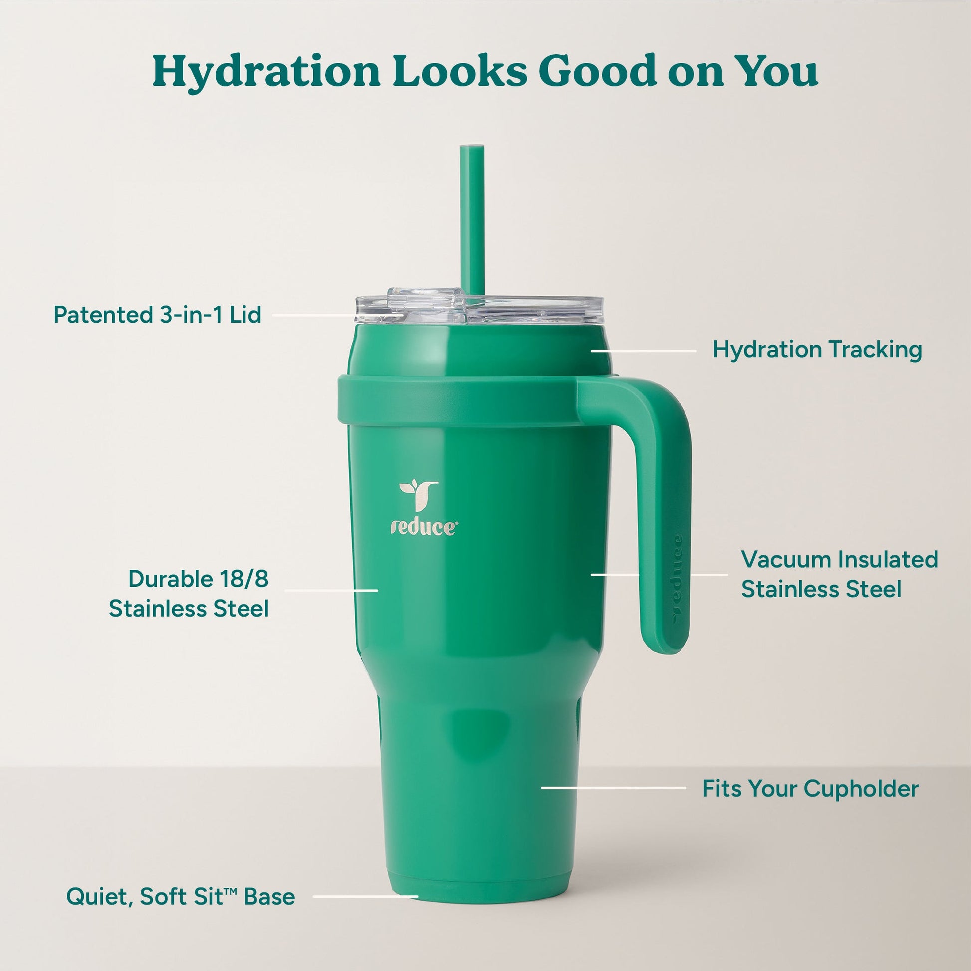 cold1-40-oz-v5 Cold1_40oz_PalmLeaf_Infographic_2.jpg