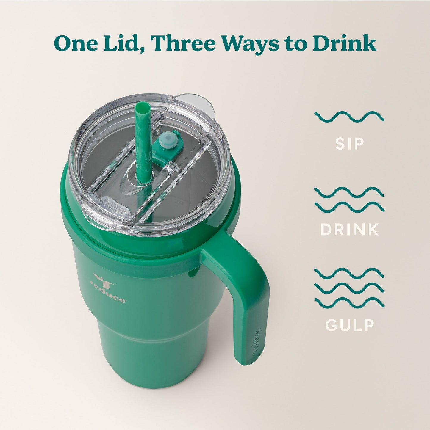 cold1-40-oz-v5 Cold1_40oz_PalmLeaf_Infographic_3.jpg