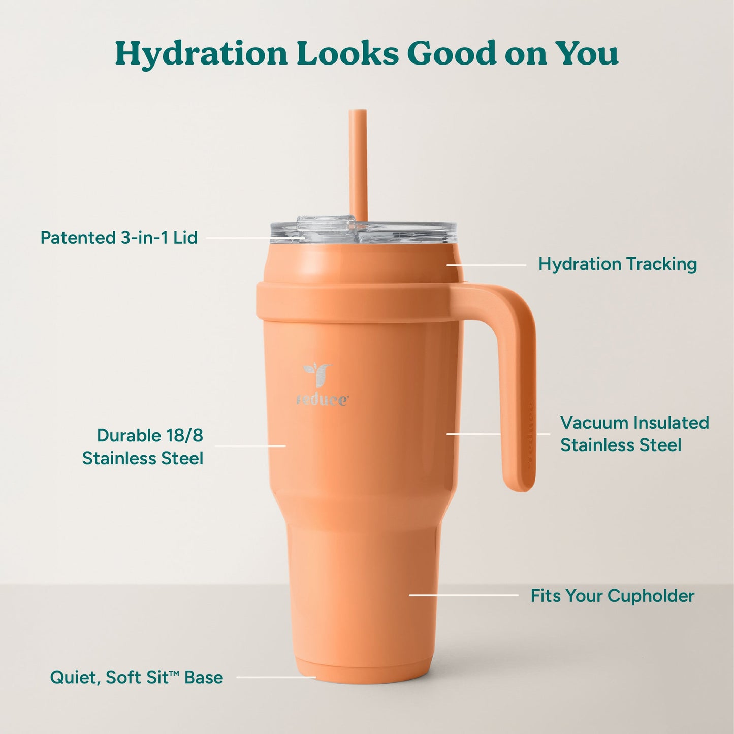 cold1-40-oz-v5 Cold1_40oz_Papaya_Infographic_2.jpg