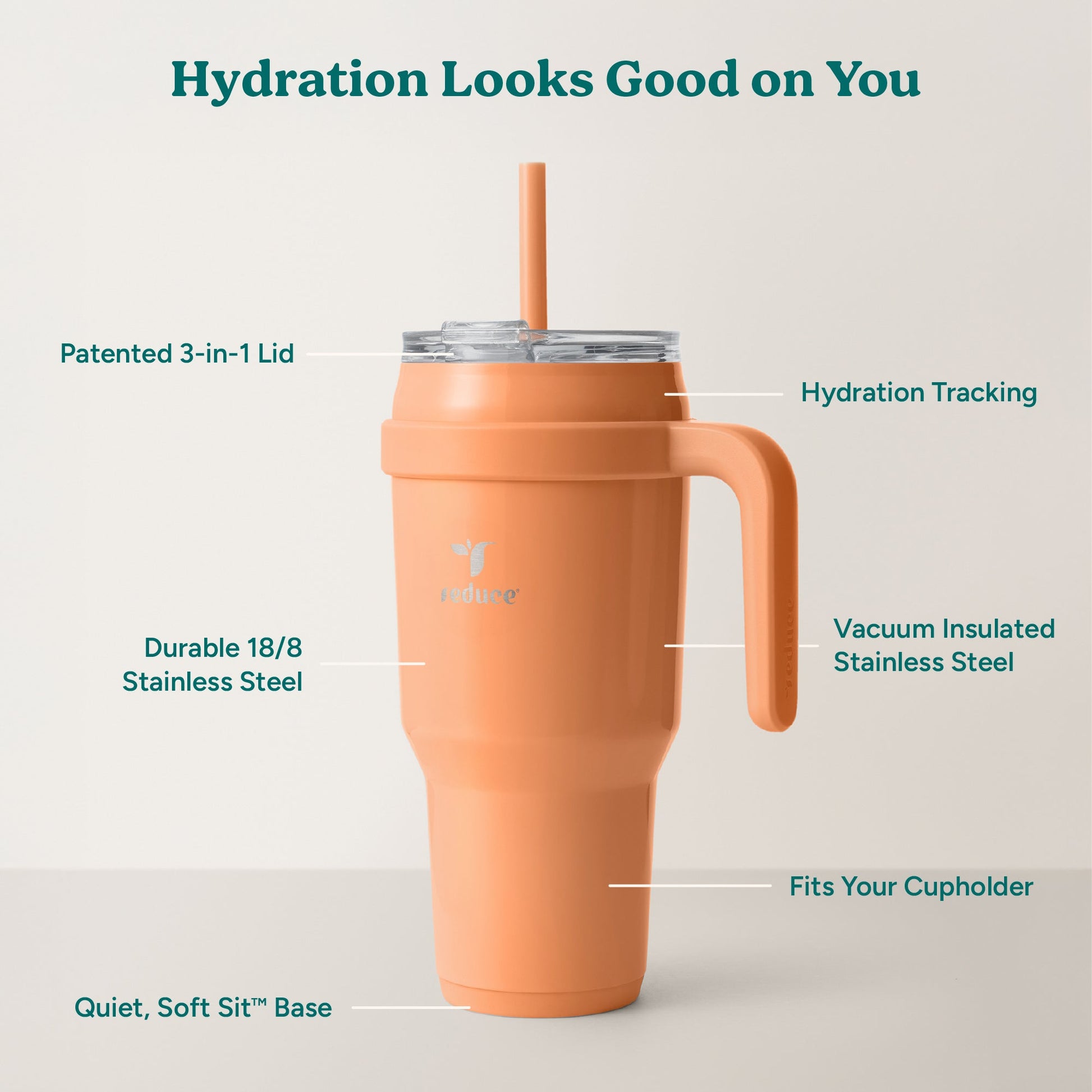 cold1-40-oz-v5 Cold1_40oz_Papaya_Infographic_2.jpg