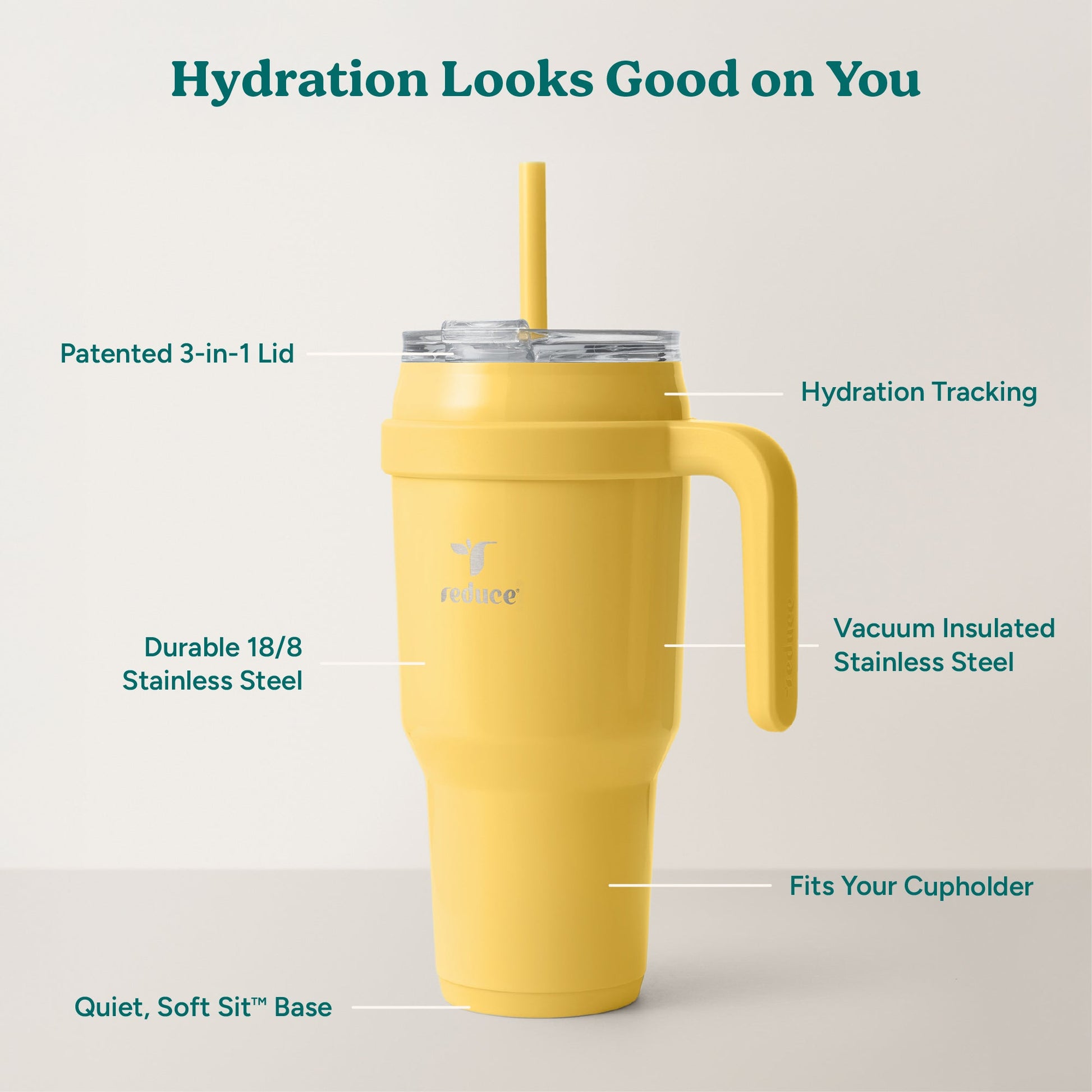 cold1-40-oz-v5 Cold1_40oz_Pineapple_Infographic_2.jpg