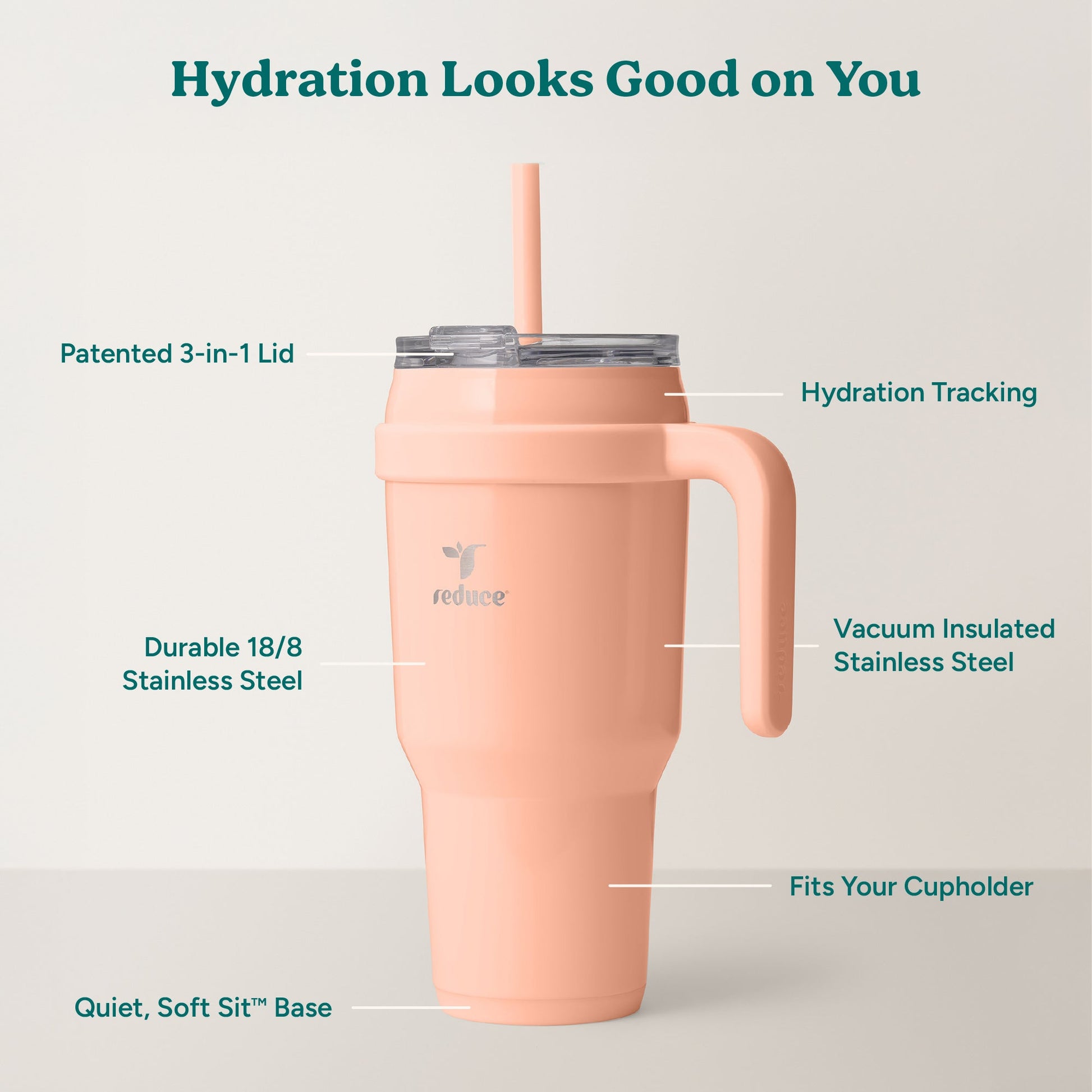 cold1-40-oz-v5 Cold1_40oz_Sedona_Infographic_2.jpg
